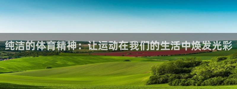 看球通体育app官方下载
