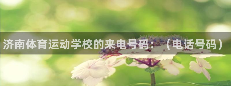 看球通体育免费观看入口