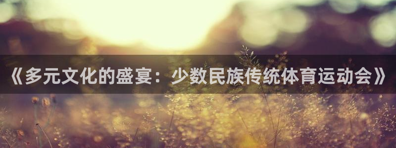 看球通体育官方lai.faca.中国：《多元文化的盛宴：少数民族传统体育运动会》