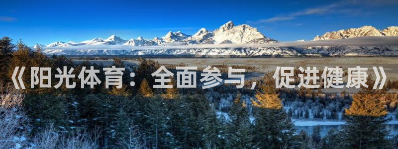 看球通体育app安卓版：《阳光体育：全面参与，促进健康》