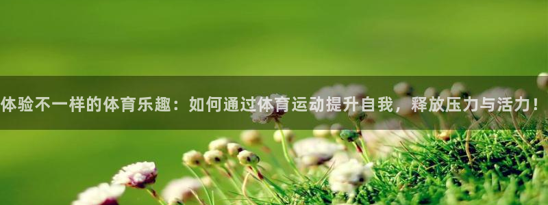看球通体育网页版：体验不一样的体育乐趣：如何通过体育运动提升自我，释放压力与活力！