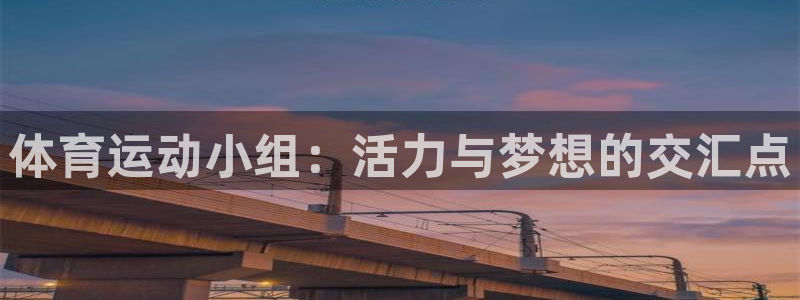 看球通体育免费观看入口