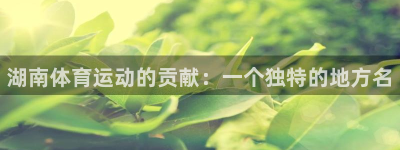 看球通体育免费观看入口